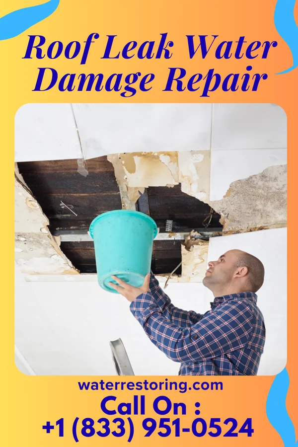 Roof Leak Water Damage Repair in Suisun City, CA